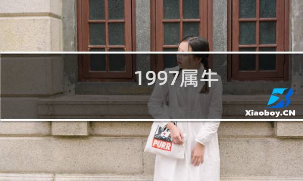 1997属牛