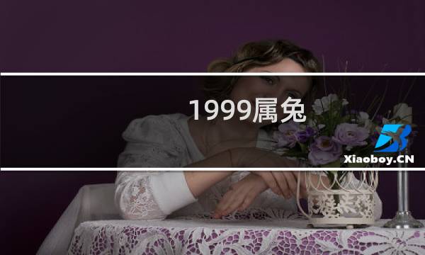 1999属兔
