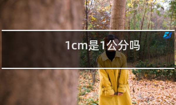 1cm是1公分吗
