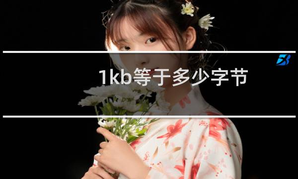 1kb等于多少字节（（计算机1kb表示多少字节））图片