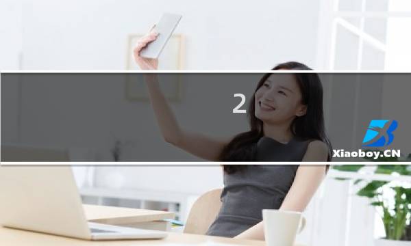 2.1小叶紫檀多少克