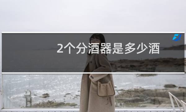 2个分酒器是多少酒