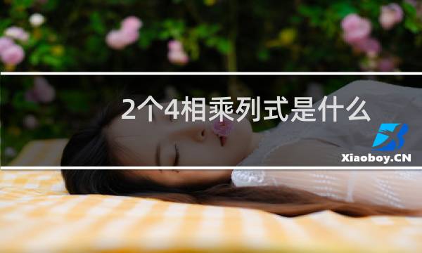 2个4相乘列式是什么
