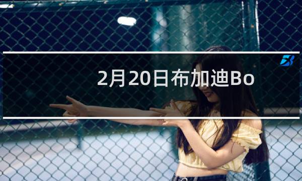 2月20日布加迪Bolide已获准投产