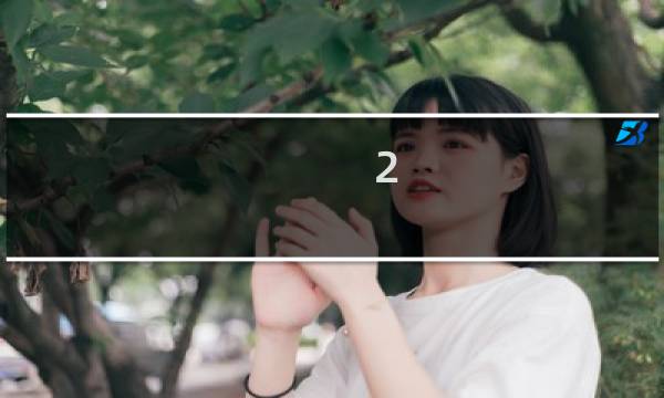 2.4凯美瑞交强险多少钱