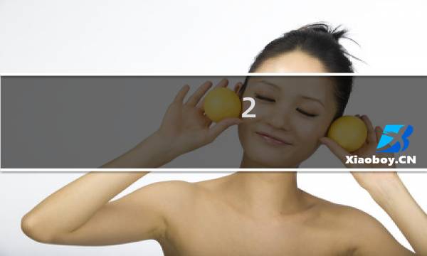 2.43贼攻略