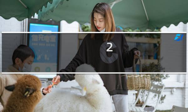 2.6.1法师攻略