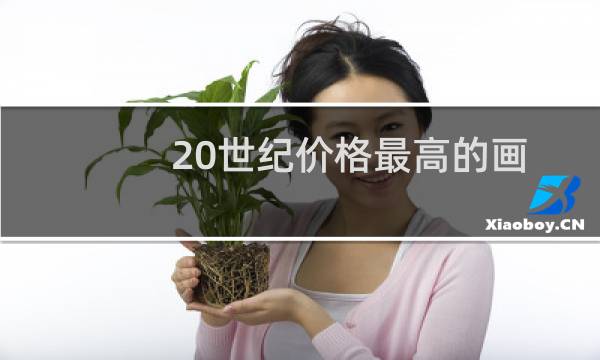 20世纪价格最高的画