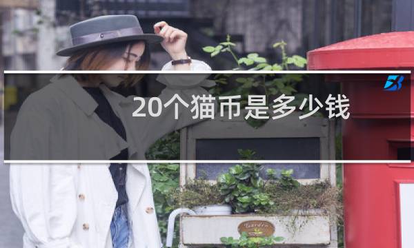 20个猫币是多少钱