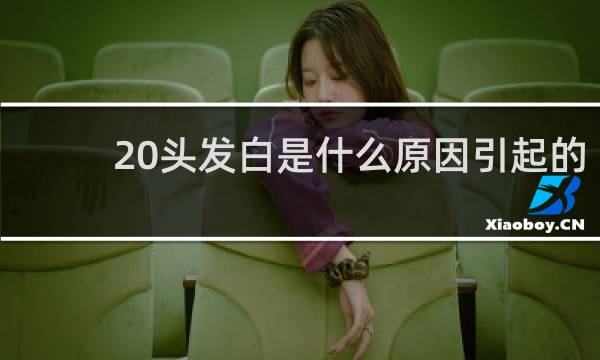 20头发白是什么原因引起的