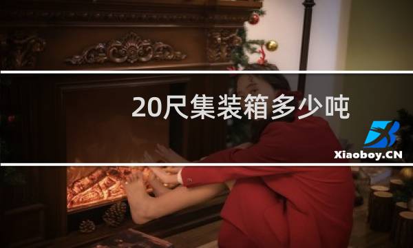 20尺集装箱多少吨