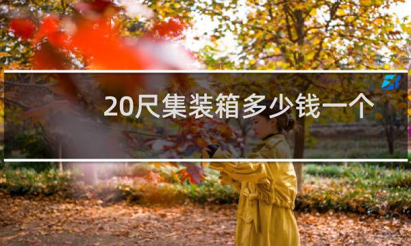 20尺集装箱多少钱一个