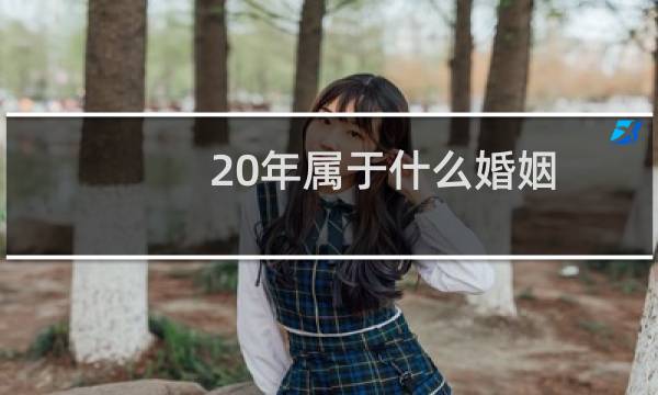 20年属于什么婚姻