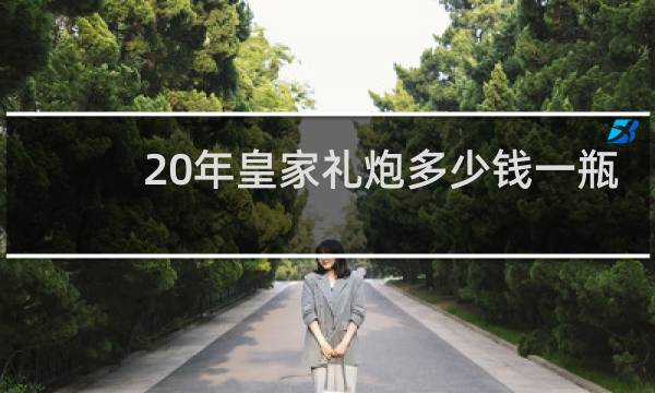 20年皇家礼炮多少钱一瓶