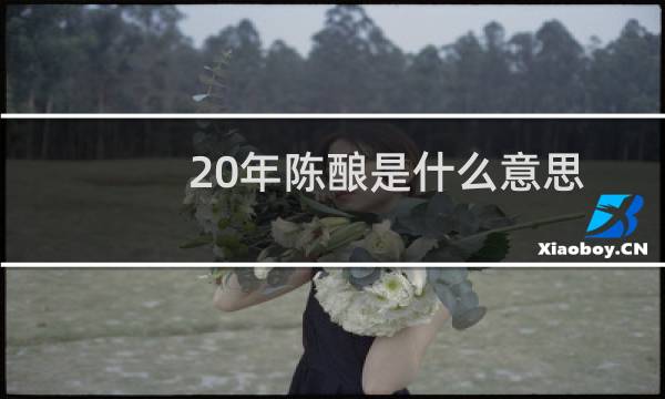 20年陈酿是什么意思