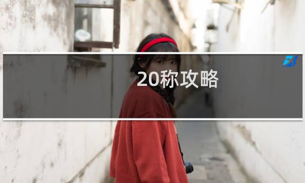 20称攻略