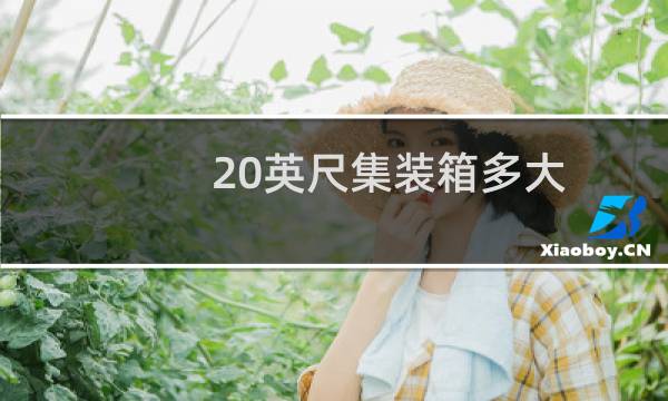 20英尺集装箱多大