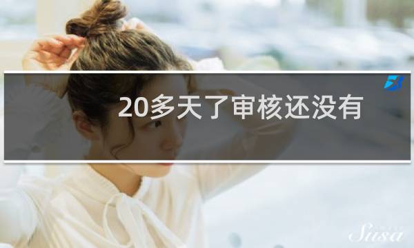 20多天了审核还没有通过吗？