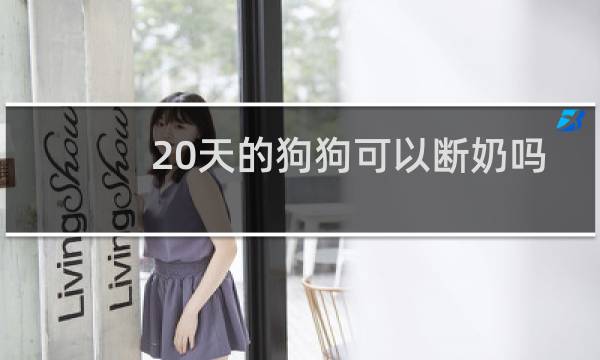 20天的狗狗可以断奶吗