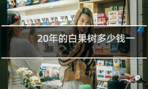 20年的白果树多少钱一颗