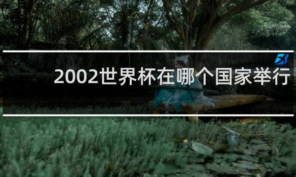 2002世界杯在哪个国家举行