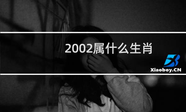 2002属什么生肖（200万韩元）图片