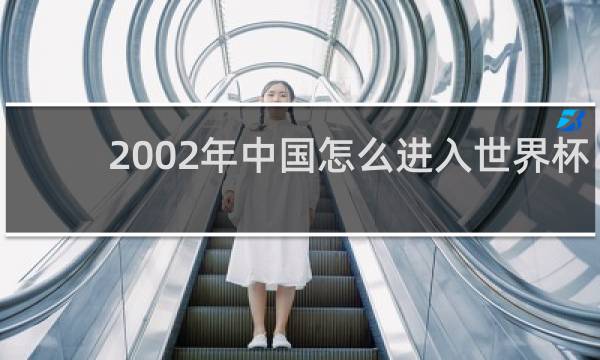 2002年中国怎么进入世界杯的