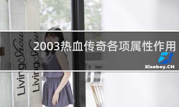 2003热血传奇各项属性作用