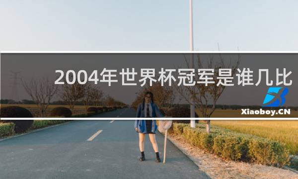 2004年世界杯冠军是谁几比几