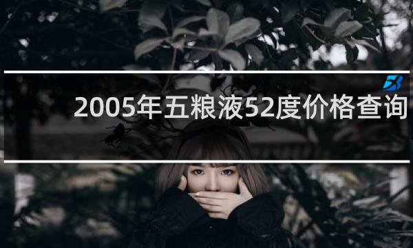 2005年五粮液52度价格查询