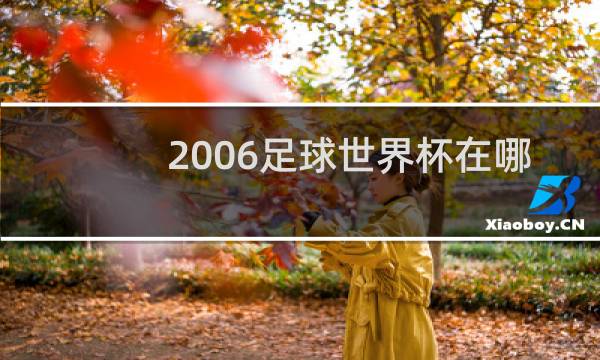 2006足球世界杯在哪