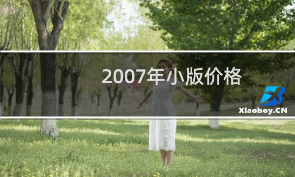 2007年小版价格