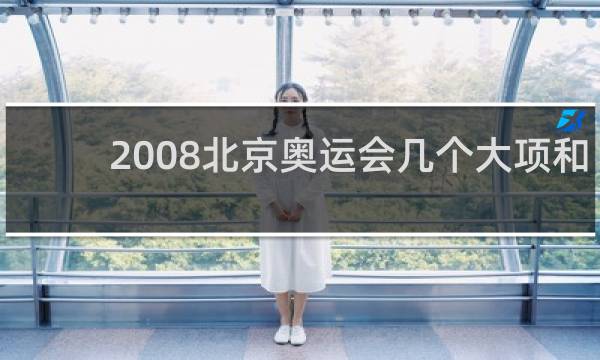 2008北京奥运会几个大项和几个小项