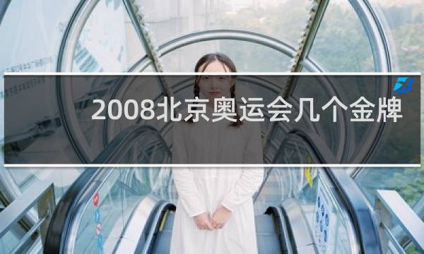 2008北京奥运会几个金牌