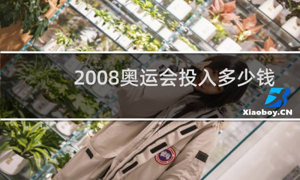 2008奥运会投入多少钱