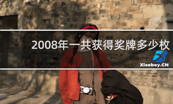 2008年一共获得奖牌多少枚