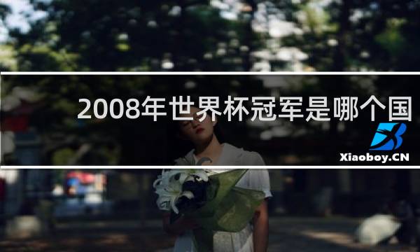 2008年世界杯冠军是哪个国家