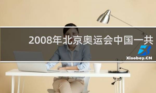 2008年北京奥运会中国一共拿了多少
