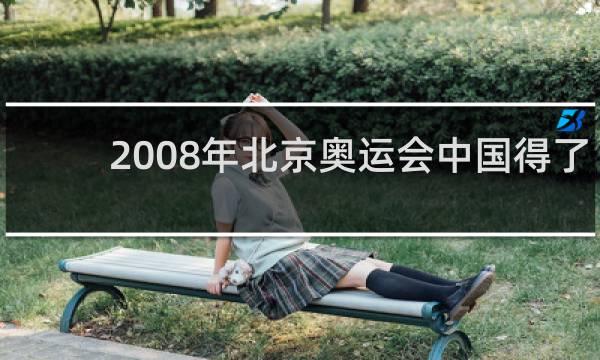 2008年北京奥运会中国得了多少金牌