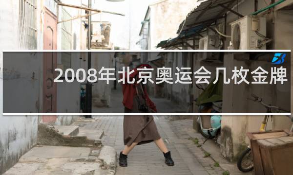 2008年北京奥运会几枚金牌