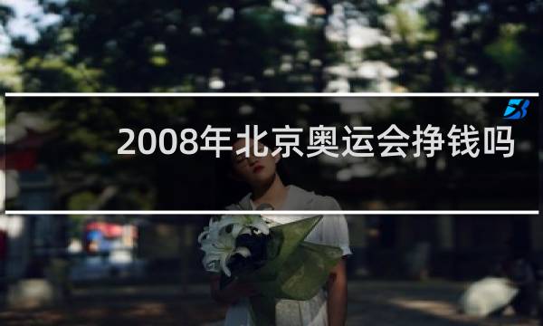 2008年北京奥运会挣钱吗