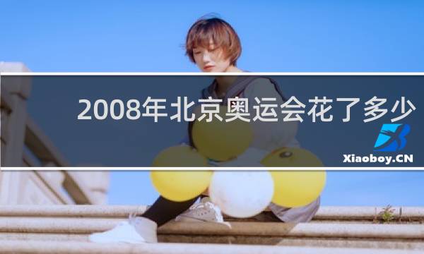 2008年北京奥运会花了多少钱
