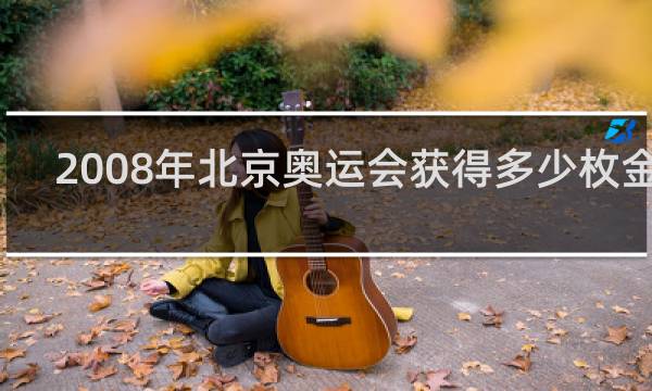 2008年北京奥运会获得多少枚金牌