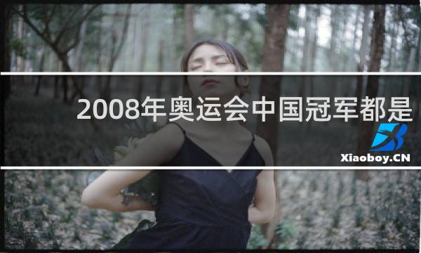 2008年奥运会中国冠军都是谁