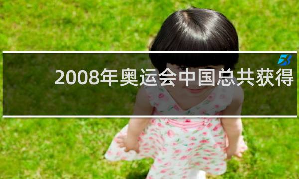 2008年奥运会中国总共获得多少块金牌