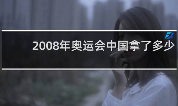 2008年奥运会中国拿了多少