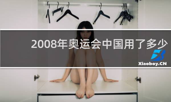 2008年奥运会中国用了多少钱