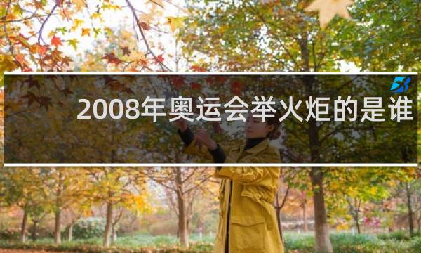 2008年奥运会举火炬的是谁