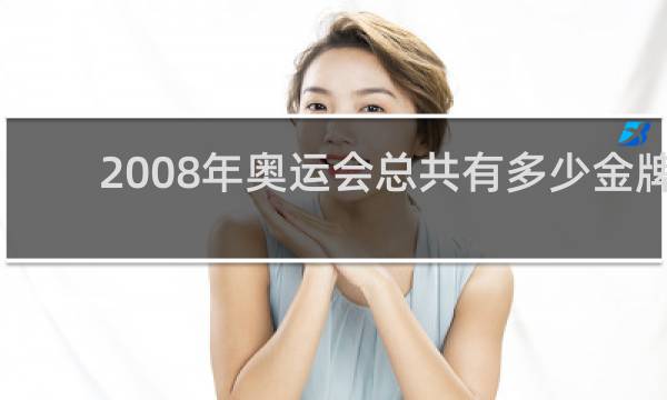 2008年奥运会总共有多少金牌