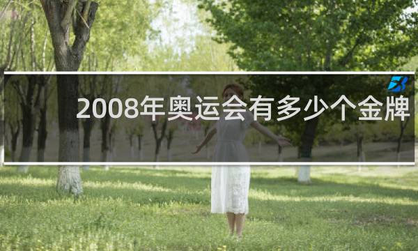 2008年奥运会有多少个金牌